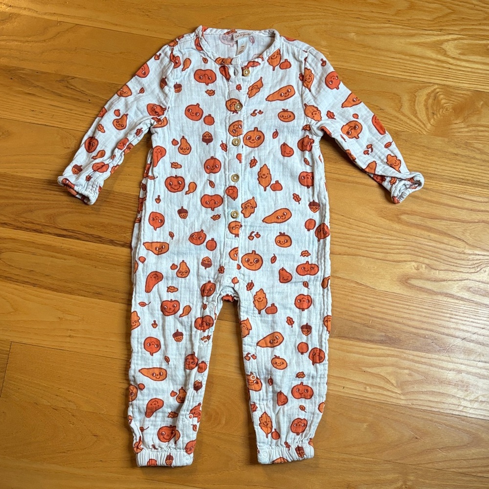Cat & Jack Fall Unisex One Piece (18 Month)